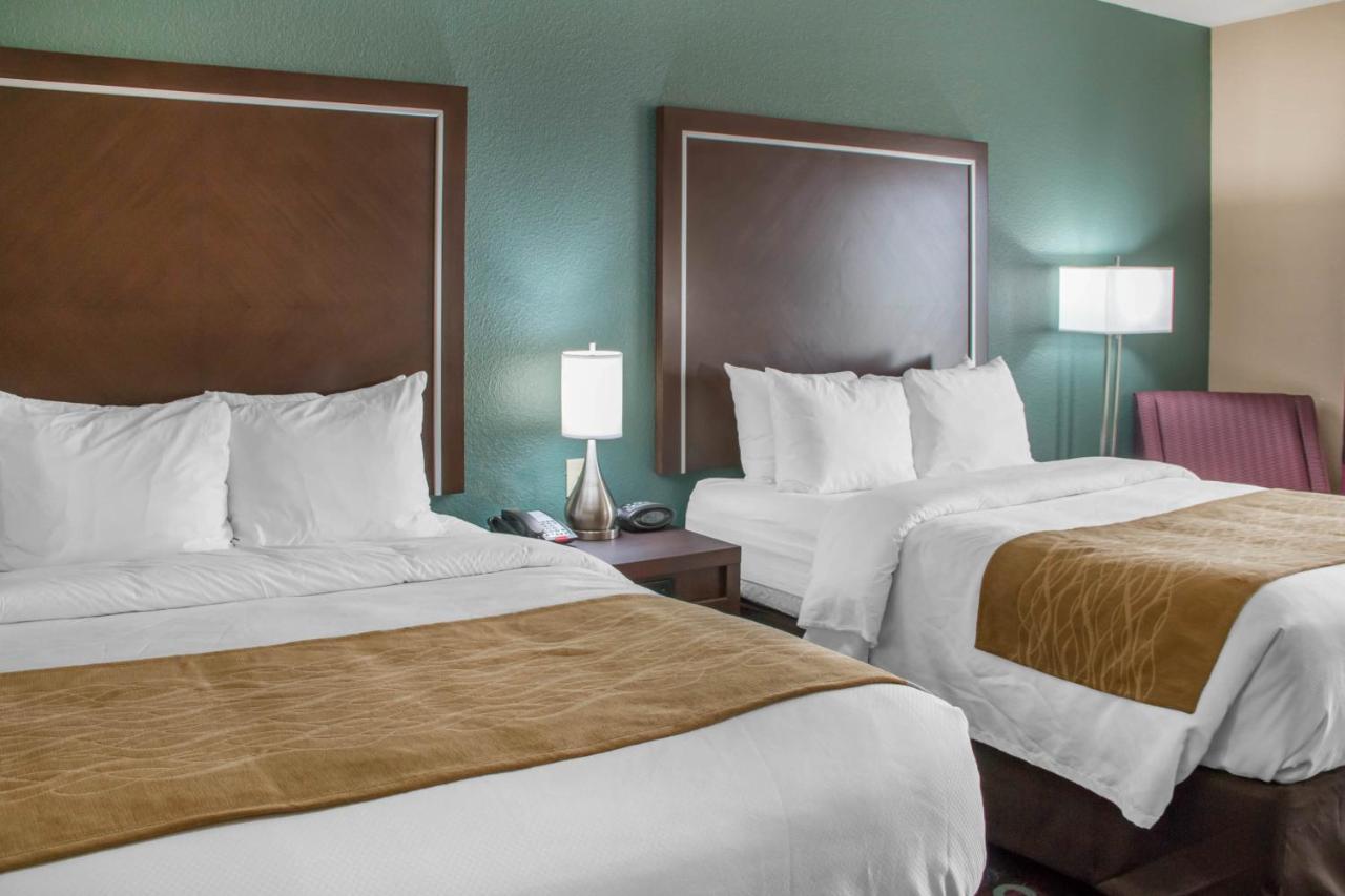 Comfort Inn & Suites San Marcos Dış mekan fotoğraf