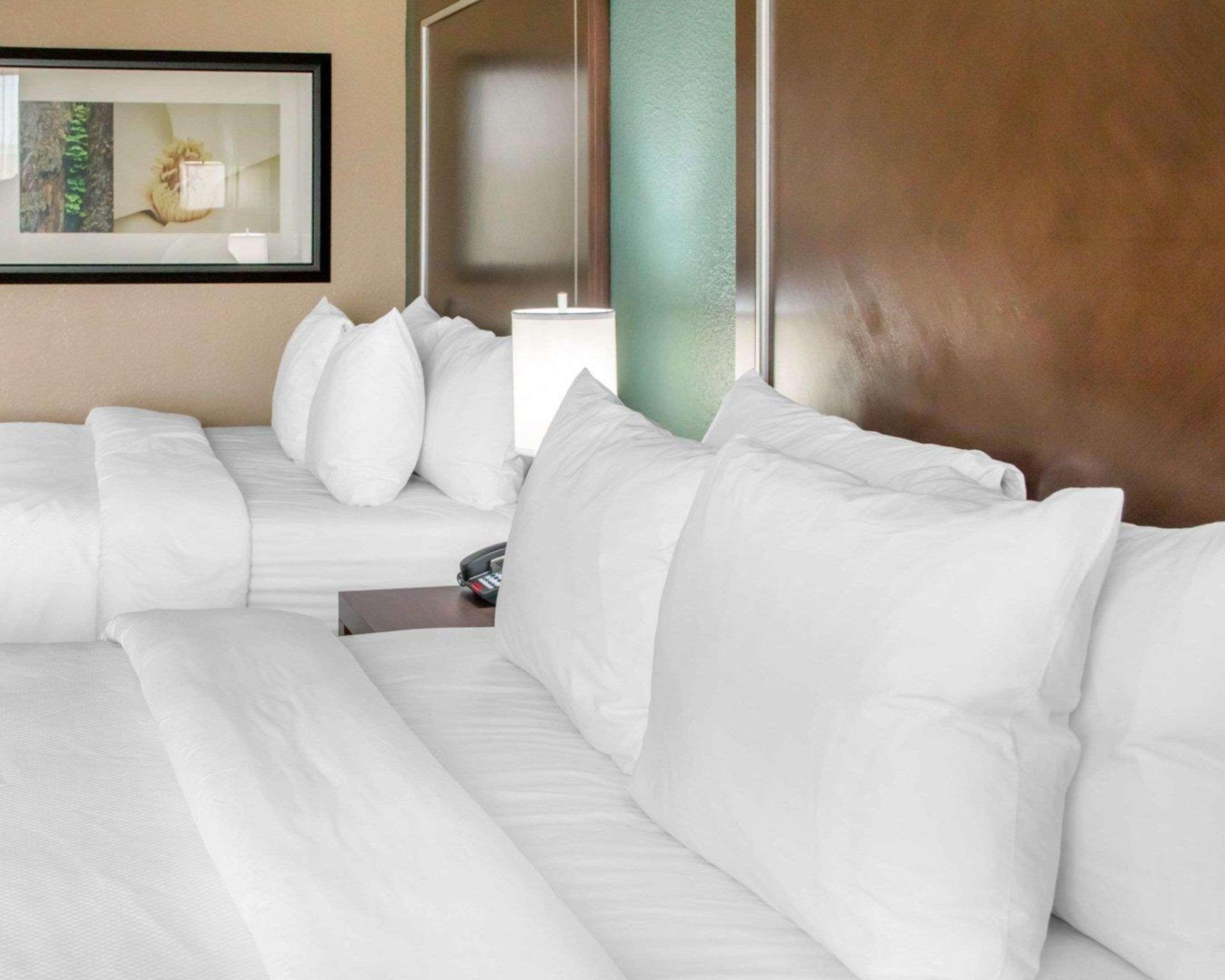 Comfort Inn & Suites San Marcos Dış mekan fotoğraf