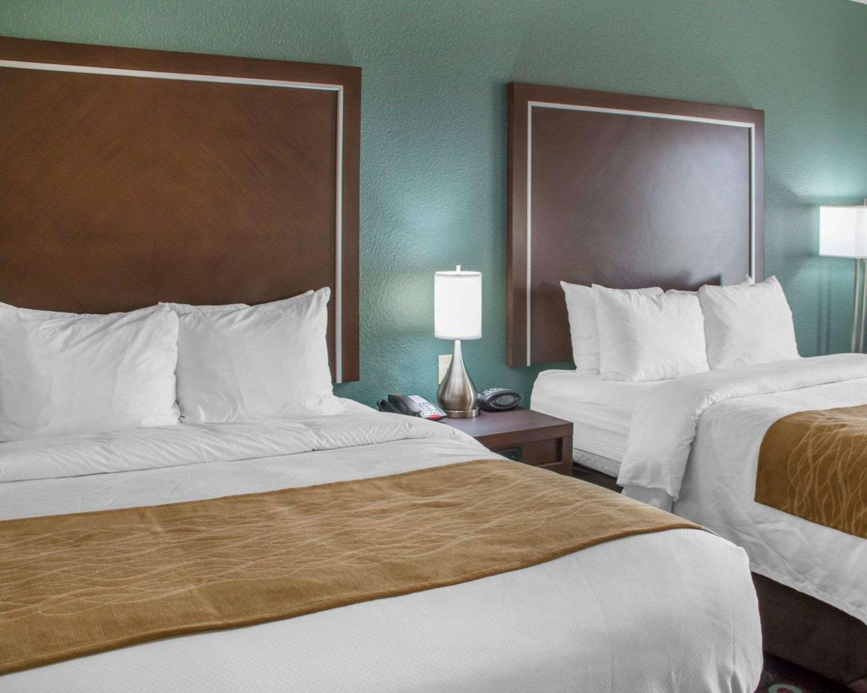 Comfort Inn & Suites San Marcos Dış mekan fotoğraf