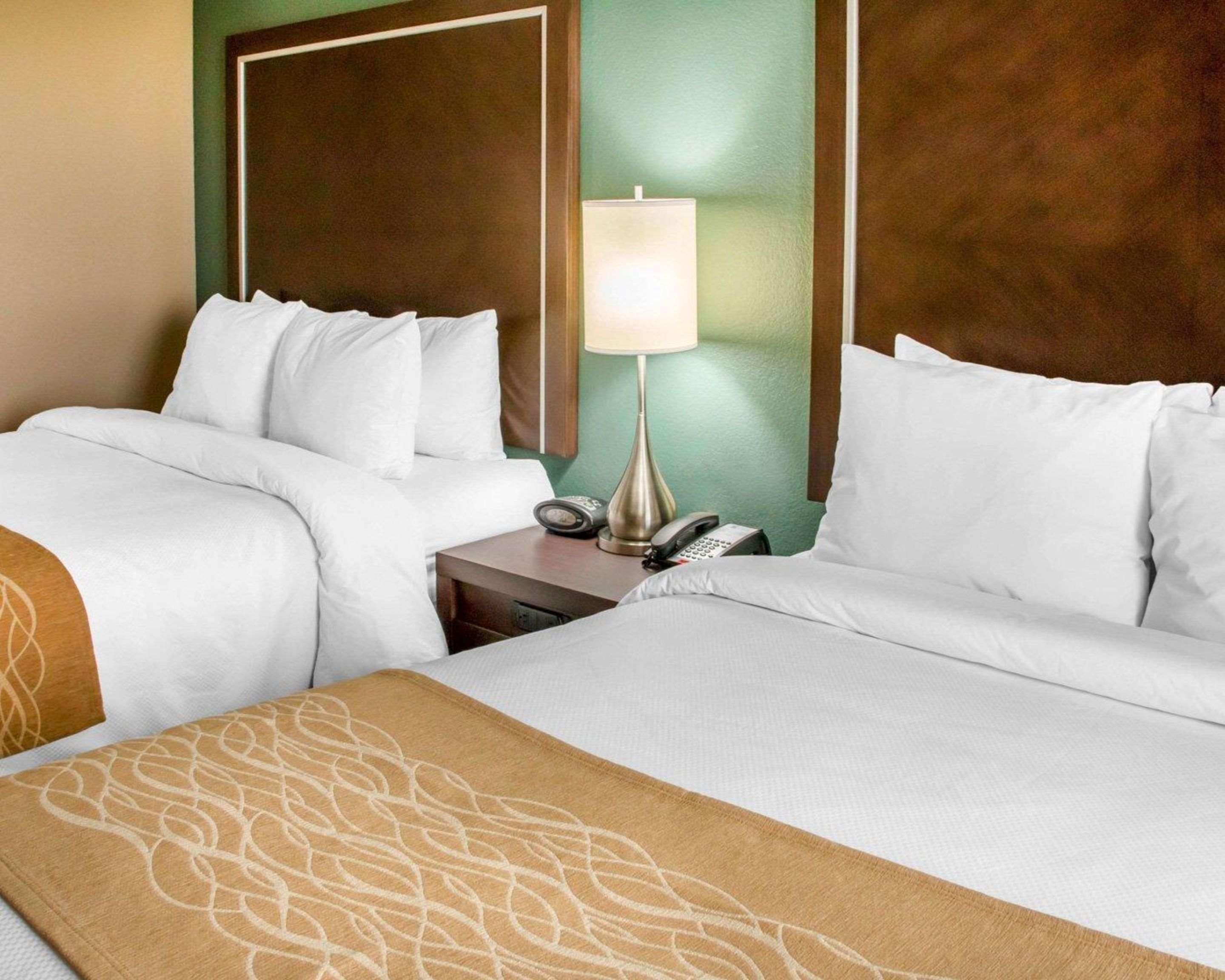 Comfort Inn & Suites San Marcos Dış mekan fotoğraf