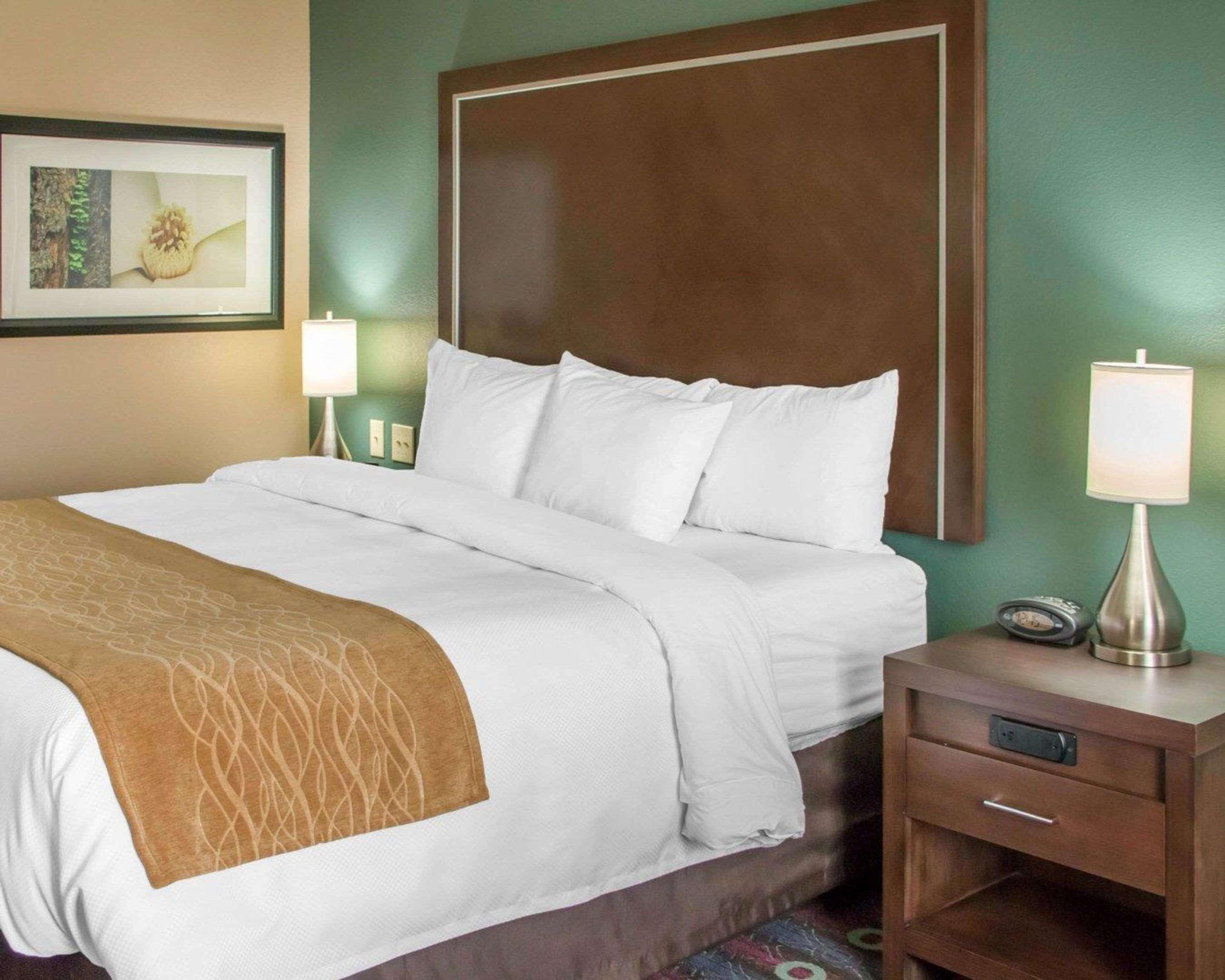 Comfort Inn & Suites San Marcos Dış mekan fotoğraf