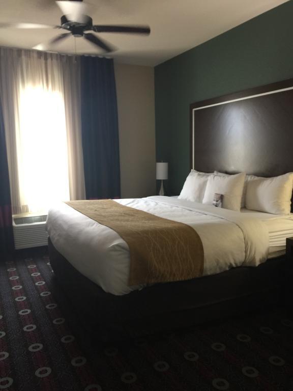 Comfort Inn & Suites San Marcos Dış mekan fotoğraf