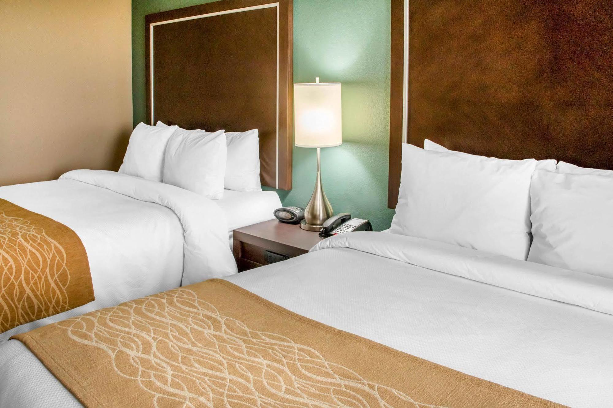 Comfort Inn & Suites San Marcos Dış mekan fotoğraf