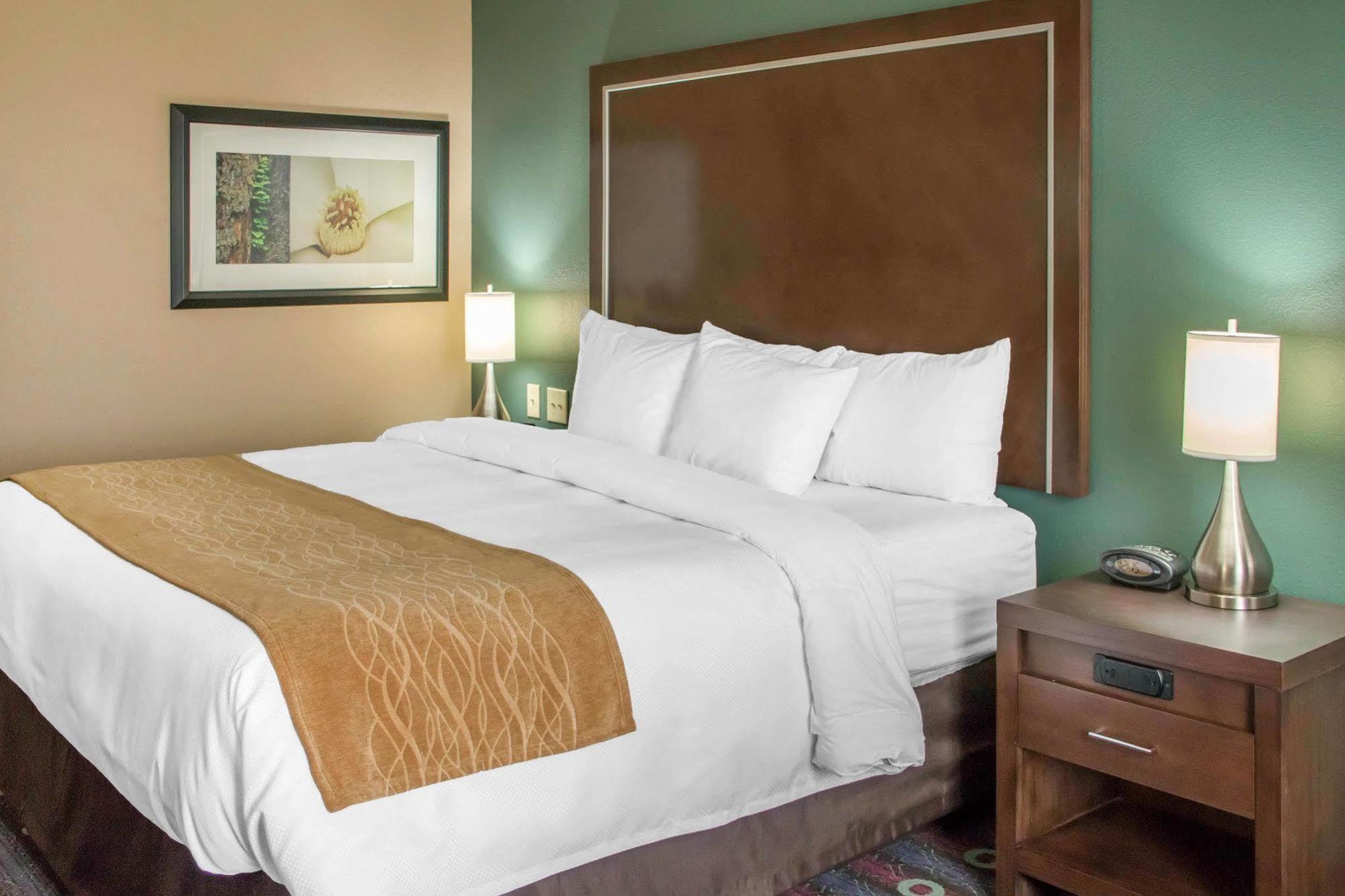 Comfort Inn & Suites San Marcos Dış mekan fotoğraf