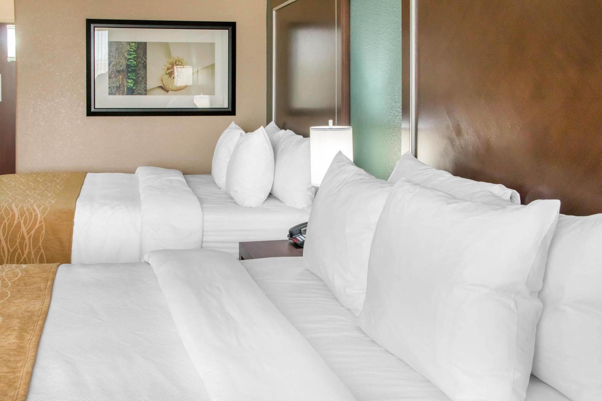 Comfort Inn & Suites San Marcos Dış mekan fotoğraf